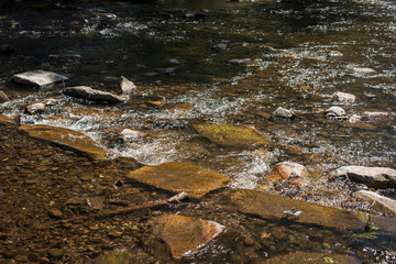 Fluss klares Wasser Steine