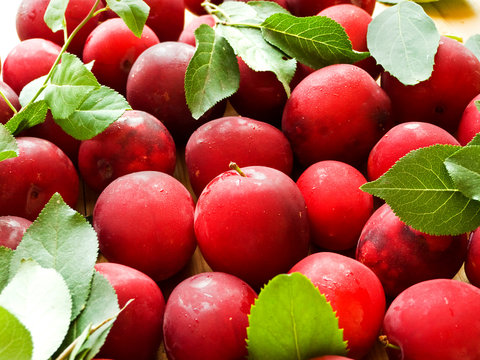 Cherry plum berries