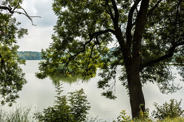 Big tranquil cozy forest lake in calm