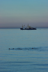 Group of swimmers in front of ship