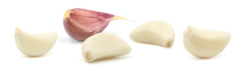 Garlic cloves on white. Set.