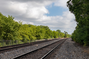Fototapeta na wymiar Train Tracks in a Midwestern Forest near Dellwood Park in Lockport Illinois during the Summer