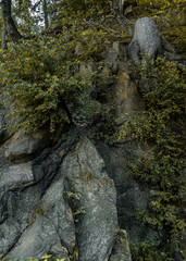 Skała na Złotej Grocie w Głuchołazach © Wojciech