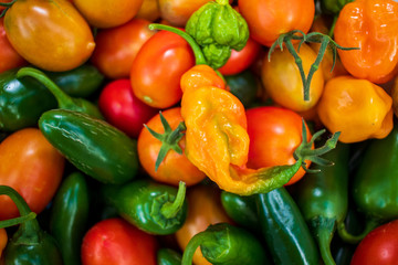 Fototapeta na wymiar fresh vegetables on the market