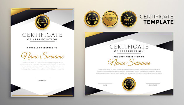 stylish company certificate of achievement template set of two