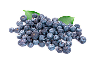 Blueberries isolated on white background