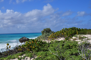 Fototapeta na wymiar Tropical beach on the Caribbean Sea. Emerald water and tropical vegetation on the shore. Cuba.