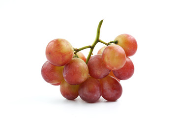 Red grapes on the vine on a white background