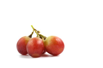 Red grapes on the vine on a white background