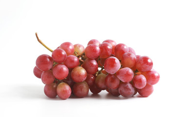Red grapes on the vine on a white background
