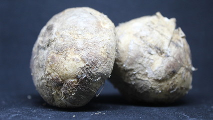 bengkoang with a background black