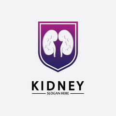 Kidney Shield Logo Template Design Vector, Emblem, Design Concept, Creative Symbol, Icon.