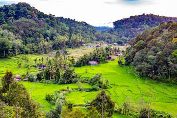 Obraz premium Traveling from Sipirok to Bukittinggi on Sumatra