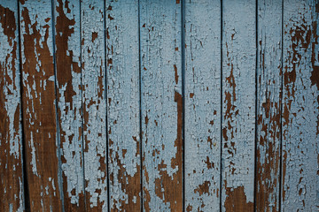 Vintage wood background with peeling paint. Blue background