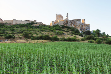 View of castle and sunflower fields in Calatañazor, town of Castilla, Spain,