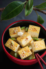 Pan fried chunks of tofu with green onion and sesame seeds in a red bowl, closeup, vertical shot