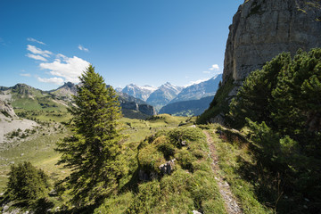 landscape in switzerland, on the beautiful schynige platte hiking area.
