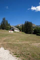 Fototapeta na wymiar Promeneuse solitaire dans un paysage du Vercors aux environs de Villars de Lans (Isère)