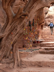 Wanderung in der Umgebung von Petra