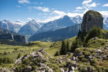 landscape in switzerland, on the beautiful schynige platte hiking area.