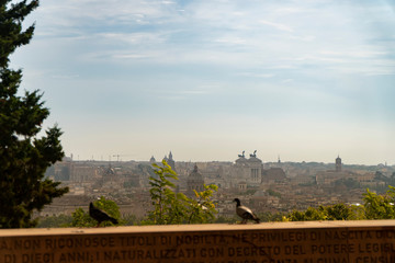 Panoramic view of historic center of Rome, Italy. Altare della Patria monument view from top