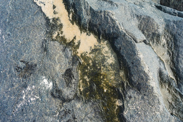sandy rocky texture from Atlantic Ocean beaches in Long Beach Island, New Jersey