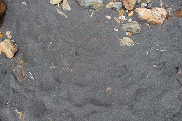 black sand on a beach 