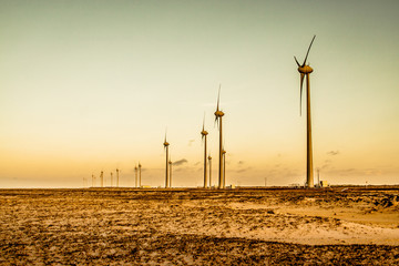 wind turbines at sunset © Rodrigo