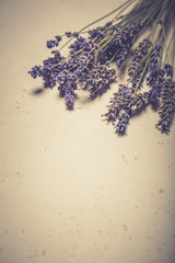 Obraz na płótnie Canvas Bunch of lavender on wooden table. Vintage style
