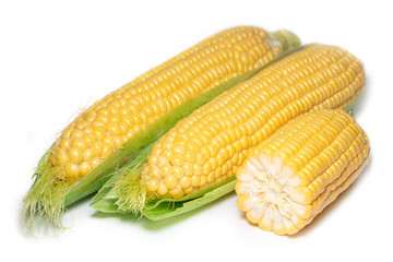 Fresh corn ears with leaves set isolated on white background