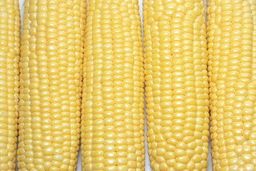 Grains of ripe corn close up