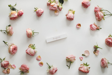AUGUST - words on wooden block and rose flowers. summer season, holiday, birthday concept. Creative flat lay top view.