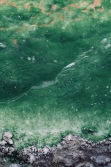 Abstract Green Natural Spring with a Dark Grey Rocky Edge