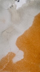 Abstract Orange and White Natural Spring