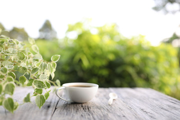 A cup of white tea and wooden spoon on wooden table with green Peperomia scandens  plant
