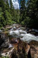 Creek in Priest Lake State Park, Lionhead Unit, Idaho