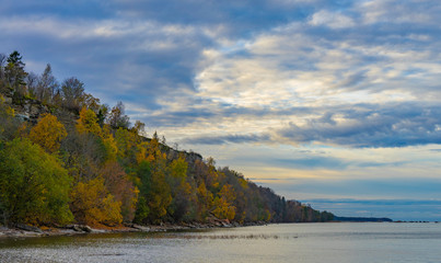 Aerial autumn forest near Sea
