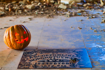 pumpkin halloween spirit