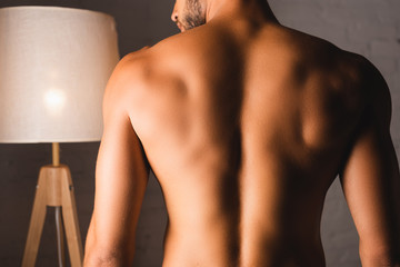 Back view of shirtless man standing at home