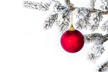 Christmas decorations on the pine branch