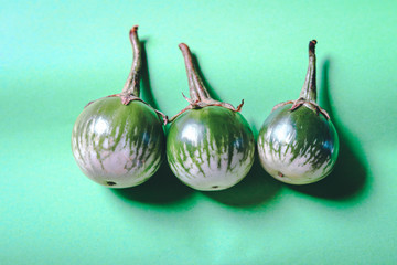 Three Kermit eggplant or Bitter ball against a green colored background to show concept of veganism, vegan, plant-based diet and Eco-friendly lifestyle