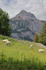 Fototapeta premium Bardonecchia (Piedmont, Italy)