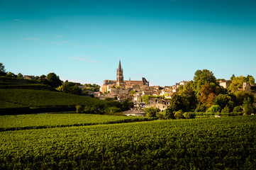 Fototapeta na wymiar Le village médiéval de Saint Emilion et son vignoble