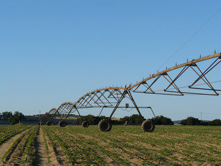Irrigation pivot in the countryside