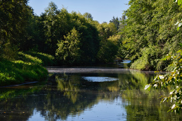 2020-08-17 THE SAMMAMISH RIVER SURROUNDED BY LUSH GREEN TREES IN BOTHELL WASHINGTON