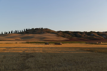 Obraz premium Tuscany landscape around Siena in the early morning