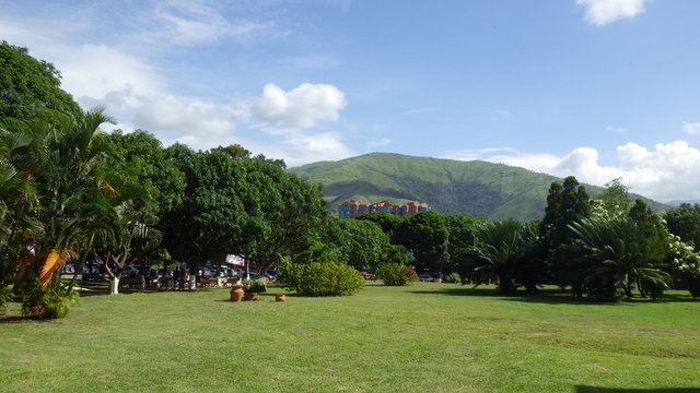Upta Federico Brito Figueroa
