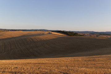 Fototapeta na wymiar Tuscany landscape around Siena in the early morning