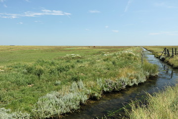 flache Landschaft mit einem kleinen Bach an der Nordsee auf Hallig Hooge © ReNi