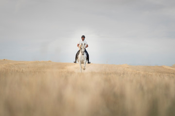 Obraz premium Rider on horseback walking through a mowed cereal field with his white horse. Horse riding in the open air.